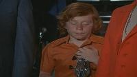 The Partridge Family